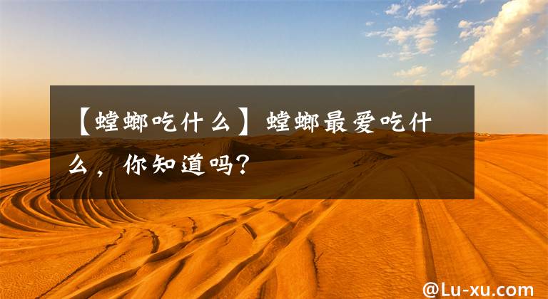 【螳螂吃什么】螳螂最爱吃什么，你知道吗？