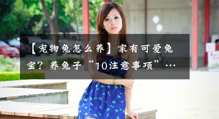 【宠物兔怎么养】家有可爱兔宝？养兔子“10注意事项”……抱抱也要小心