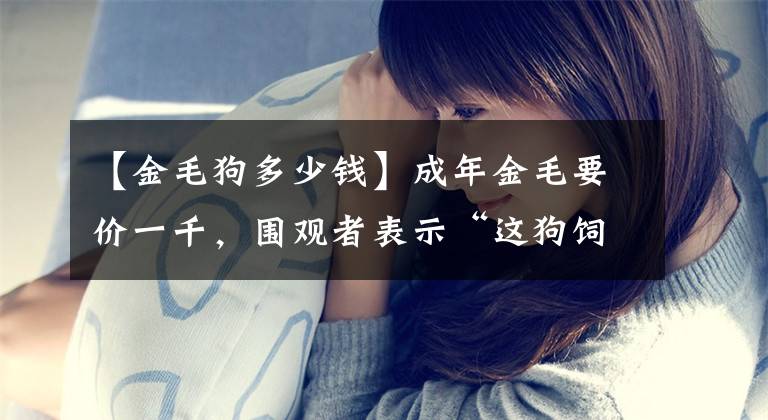 【金毛狗多少钱】成年金毛要价一千，围观者表示“这狗饲养场最多开600元价格”！