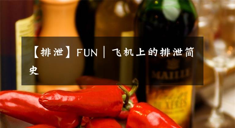 【排泄】FUN|飞机上的排泄简史