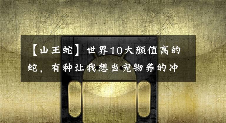 【山王蛇】世界10大颜值高的蛇,有种让我想当宠物养的冲动