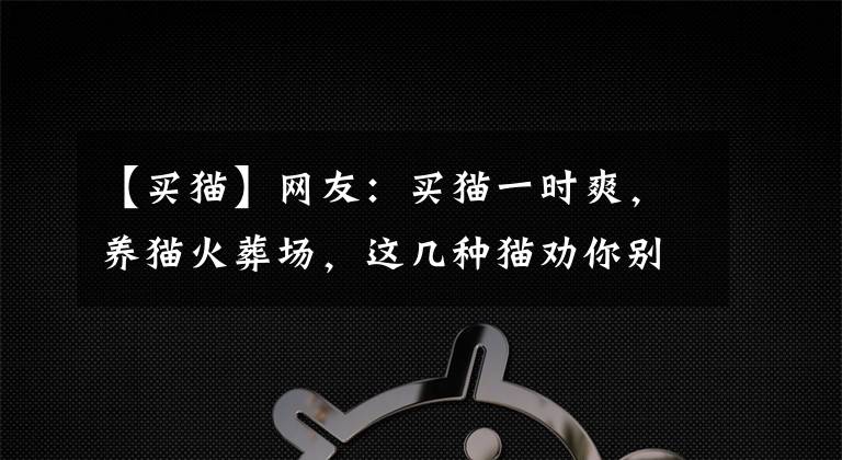 【买猫】网友:买猫一时爽,养猫火葬场,这几种猫劝你别乱入手