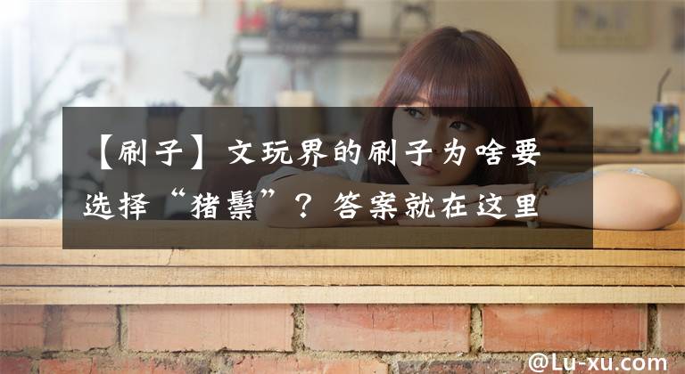 【刷子】文玩界的刷子为啥要选择“猪鬃”?答案就在这里