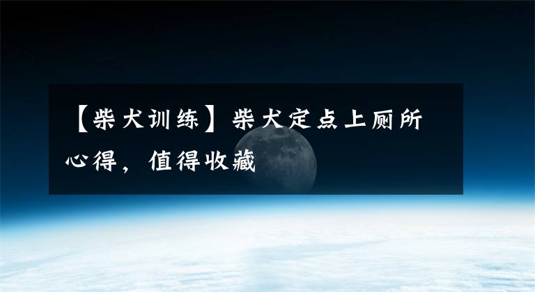 【柴犬训练】柴犬定点上厕所心得,值得收藏