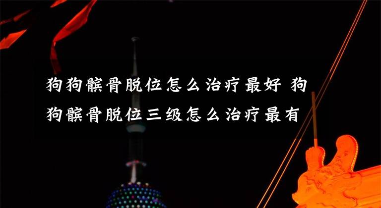 狗狗髌骨脱位怎么治疗最好 狗狗髌骨脱位三级怎么治疗最有效