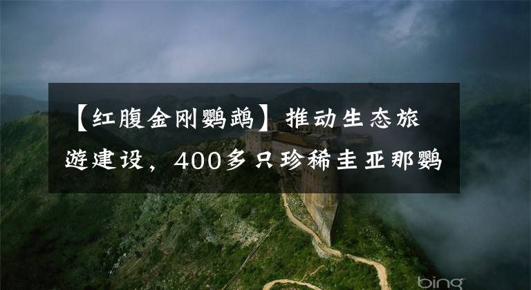 【红腹金刚鹦鹉】推动生态旅游建设，400多只珍稀圭亚那鹦鹉抵穗贺新春！