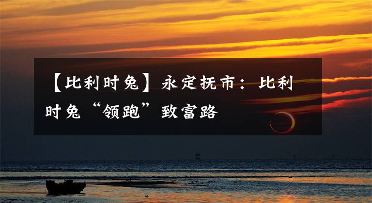 【比利时兔】永定抚市:比利时兔“领跑”致富路