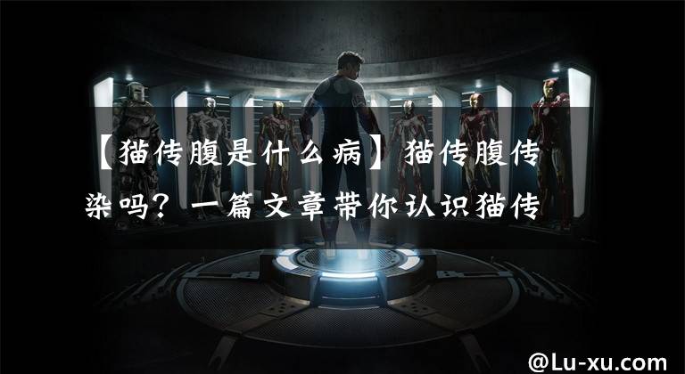 【猫传腹是什么病】猫传腹传染吗?一篇文章带你认识猫传腹