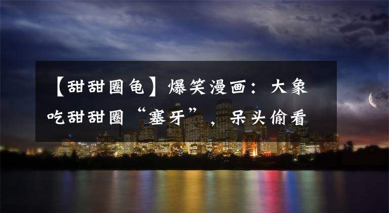 【甜甜圈龟】爆笑漫画：大象吃甜甜圈“塞牙”，呆头偷看乌龟“洗澡”