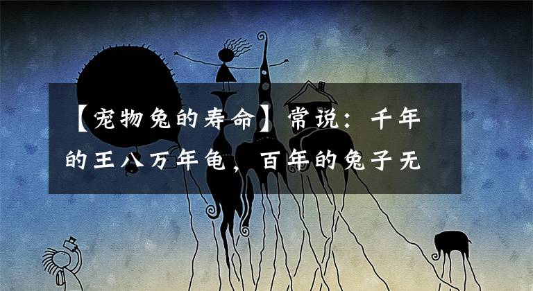 【宠物兔的寿命】常说:千年的王八万年龟,百年的兔子无人追、背后的含义少有人知