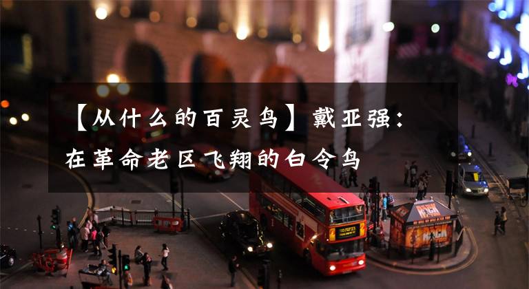 【从什么的百灵鸟】戴亚强：在革命老区飞翔的白令鸟