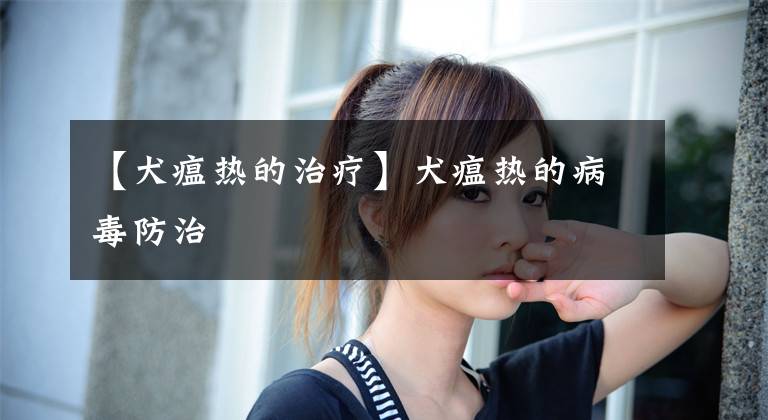 【犬瘟热的治疗】犬瘟热的病毒防治