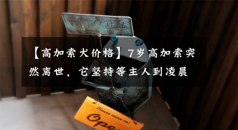 【高加索犬价格】7岁高加索突然离世,它坚持等主人到凌晨两点才走…