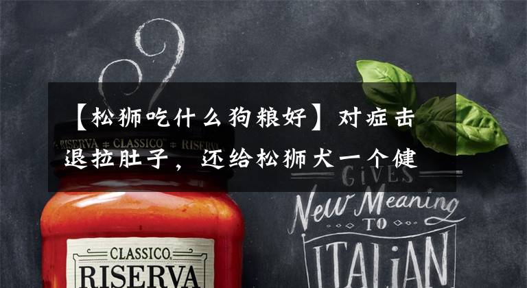 【松狮吃什么狗粮好】对症击退拉肚子，还给松狮犬一个健康的肠胃