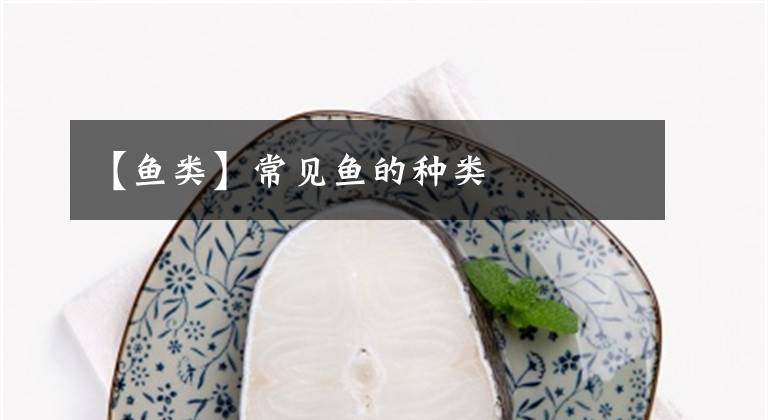 【鱼类】常见鱼的种类