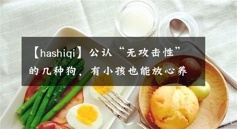 【hashiqi】公认“无攻击性”的几种狗,有小孩也能放心养