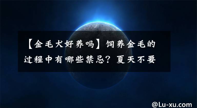 【金毛犬好养吗】饲养金毛的过程中有哪些禁忌？夏天不要频繁为汪洗澡