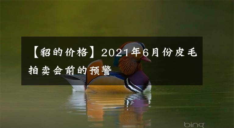 【貂的价格】2021年6月份皮毛拍卖会前的预警