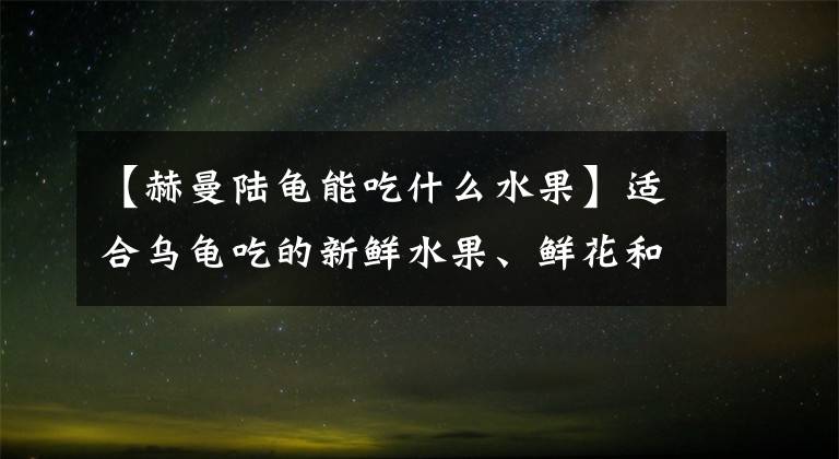 【赫曼陆龟能吃什么水果】适合乌龟吃的新鲜水果、鲜花和鲜花。
