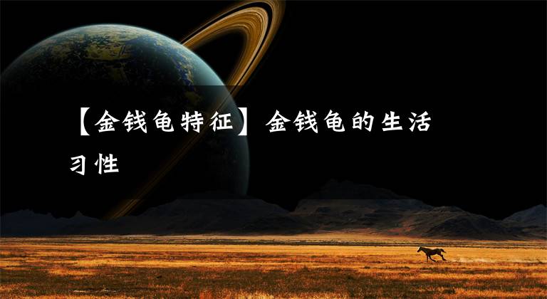 【金钱龟特征】金钱龟的生活习性