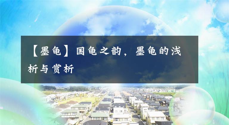 【墨龟】国龟之韵，墨龟的浅析与赏析