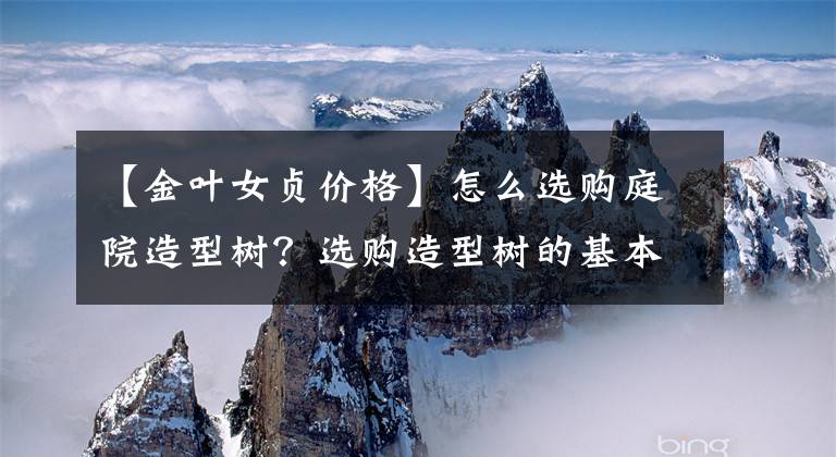 【金叶女贞价格】怎么选购庭院造型树？选购造型树的基本常识