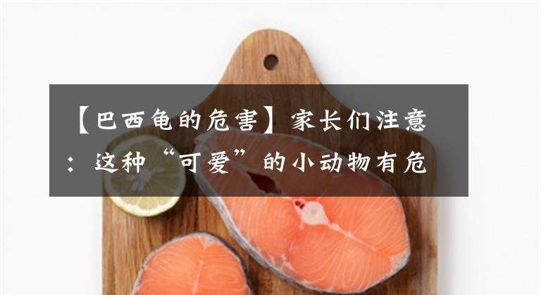 【巴西龟的危害】家长们注意:这种“可爱”的小动物有危险