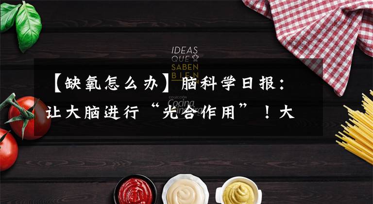 【缺氧怎么办】脑科学日报：让大脑进行“光合作用”！大脑缺氧的全新解决方案