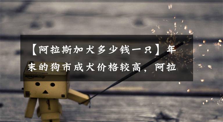 【阿拉斯加犬多少钱一只】年末的狗市成犬价格较高,阿拉斯加1300元,你觉得值吗?