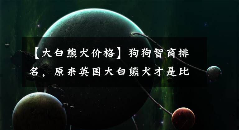 【大白熊犬价格】狗狗智商排名,原来英国大白熊犬才是比土狗还笨的犬!