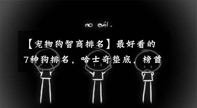 【宠物狗智商排名】最好看的7种狗排名，哈士奇垫底，榜首你猜到了吗？