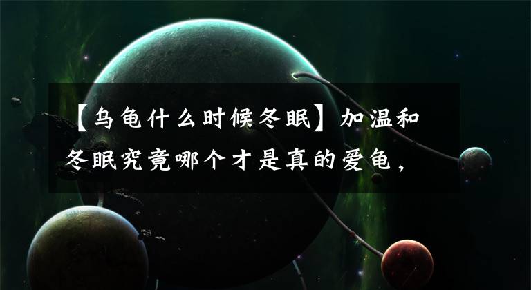 【乌龟什么时候冬眠】加温和冬眠究竟哪个才是真的爱龟,你又被迷惑了?