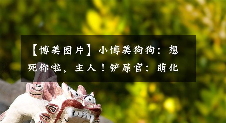 【博美图片】小博美狗狗：想死你啦，主人！铲屎官：萌化了