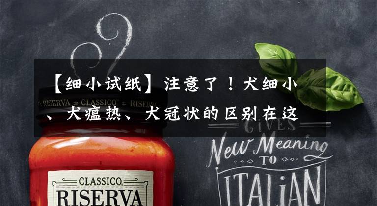 【细小试纸】注意了！犬细小、犬瘟热、犬冠状的区别在这里，别傻傻分不清楚！