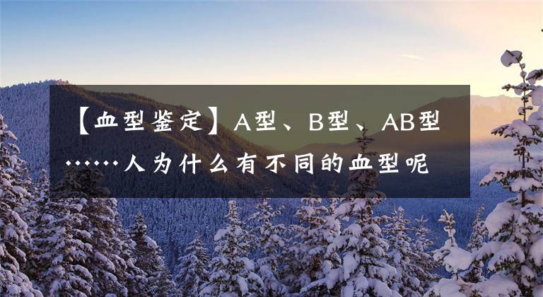 【血型鉴定】A型、B型、AB型……人为什么有不同的血型呢?