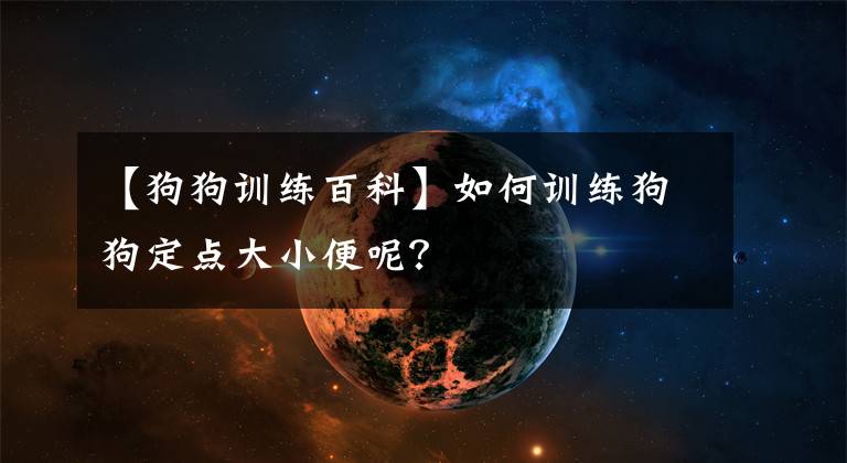 【狗狗训练百科】如何训练狗狗定点大小便呢?