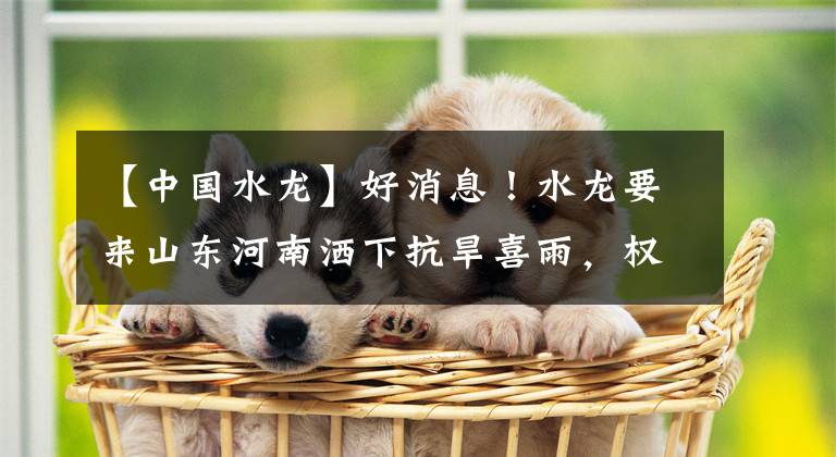 【中国水龙】好消息！水龙要来山东河南洒下抗旱喜雨，权威预报：接下来雨不少