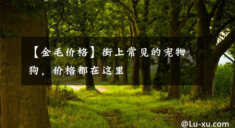 【金毛价格】街上常见的宠物狗，价格都在这里