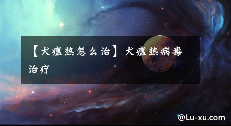 【犬瘟热怎么治】犬瘟热病毒治疗