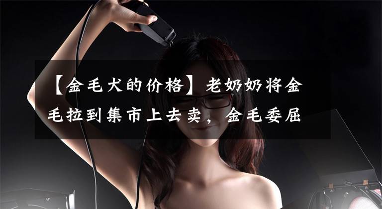 【金毛犬的价格】老奶奶将金毛拉到集市上去卖，金毛委屈钻进老人怀里：别丢下我