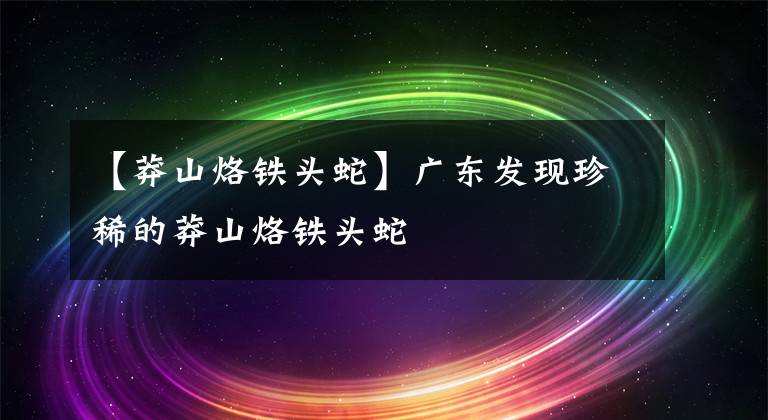 【莽山烙铁头蛇】广东发现珍稀的莽山烙铁头蛇