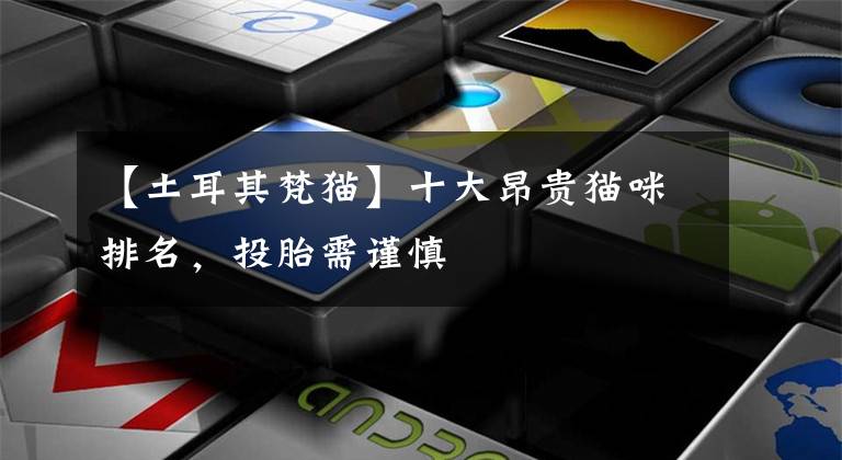 【土耳其梵猫】十大昂贵猫咪排名，投胎需谨慎