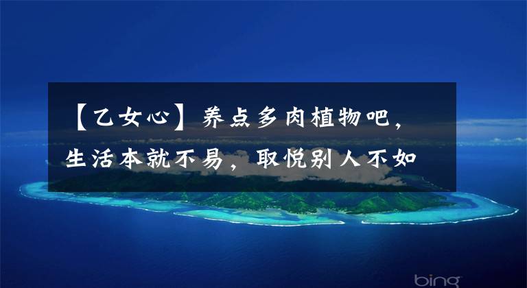 【乙女心】养点多肉植物吧，生活本就不易，取悦别人不如取悦自己