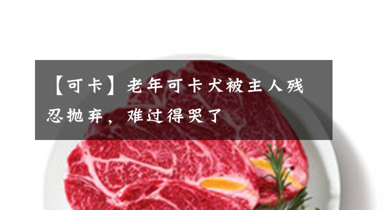 【可卡】老年可卡犬被主人残忍抛弃,难过得哭了