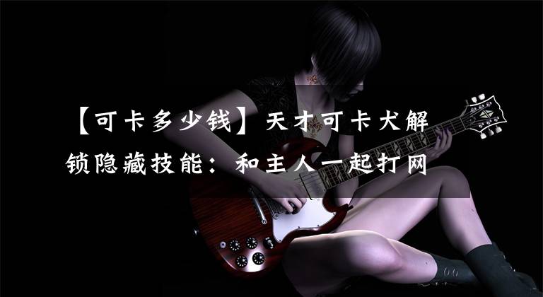 【可卡多少钱】天才可卡犬解锁隐藏技能:和主人一起打网球