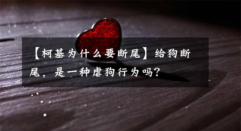 【柯基为什么要断尾】给狗断尾,是一种虐狗行为吗?