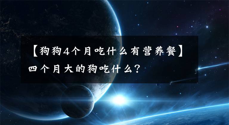 【狗狗4个月吃什么有营养餐】四个月大的狗吃什么？