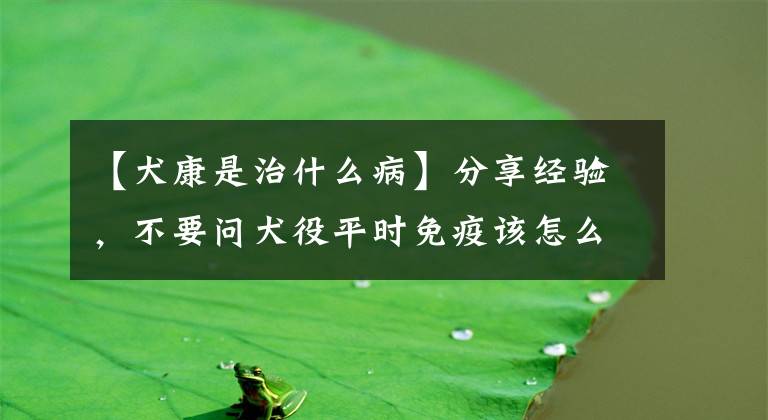 【犬康是治什么病】分享经验,不要问犬役平时免疫该怎么治疗!