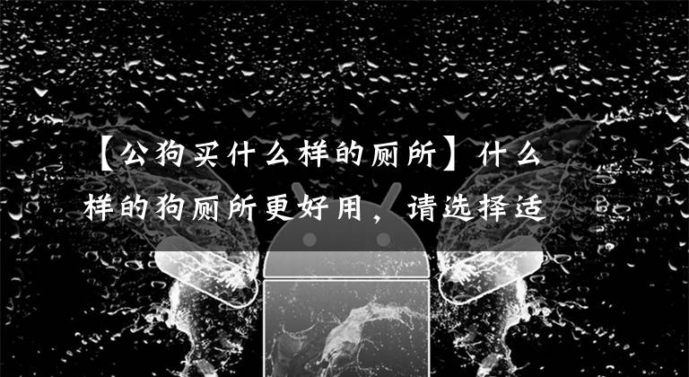 【公狗买什么样的厕所】什么样的狗厕所更好用，请选择适合自己狗的厕所。