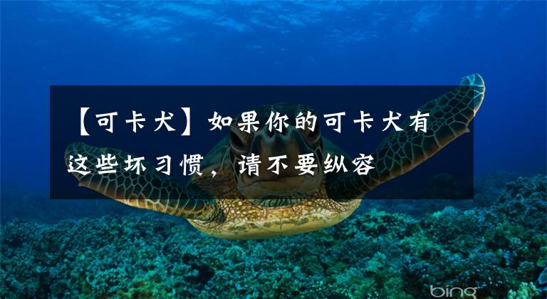 【可卡犬】如果你的可卡犬有这些坏习惯，请不要纵容